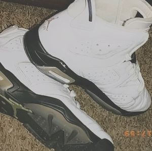 Nike Air Jordan 6 Alligator